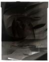 [Cut paper abstraction]