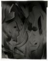 [Cut paper abstraction]