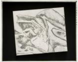 Rosalinde Fuller and other models, solarization