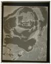 Solarization of a negative from "The Way", Sebastian Droste