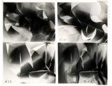 Stills from "Light Rhythms"