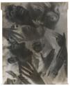 Rosalinde Fuller, "Experiment"