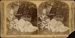 The Gardener's Pet