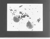[Photographs of the X-Ray of tokens that occurred at the University of Pennsylavia in 1890]