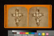 [Funerary floral arrangement shaped as a cross]