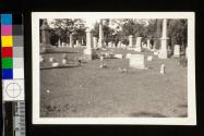 [McAlpin and Hedrick family tombstones]