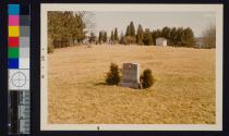[The gravestone of Connie Ray Love, 1960-1965]