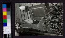 [Elderly man laid out in velvet-lined coffin]