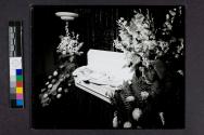 [Baby Nikkie laid out in white coffin]