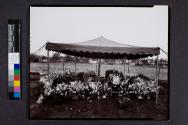 [Gravesite set up for Eblin interment]