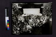 [Phyllis Stauffer in her coffin]