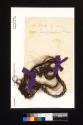 [A lock of our dear Jerimina's hair]