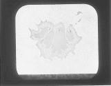 The Sun 3 million l(illegib.)