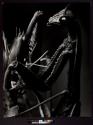 [Praying Mantis]