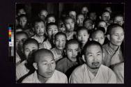 [Captured guerrillas, South Korea]