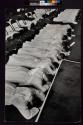 [Ceremony of ordination: Priests-to-be lie prone in a gesture of humility.]