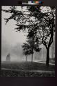 [Cornell University Campus - statue of A.D. White (First President of Cornell) on the Arts Quadrangle]