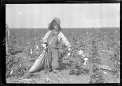 [Mart Payne picking cotton, Comanche County, Oklahoma (National Child Labor Committee)]