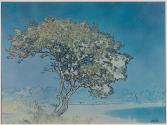 [Tree]