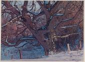 [Tree in snow]