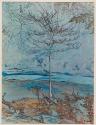 [Bare tree in woods]