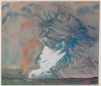 [Seated cat]