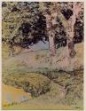 [Two trees at water's edge]