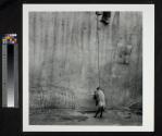 Hanging Pig