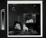Puppies in Fish Tanks