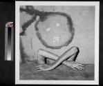 Mimicry