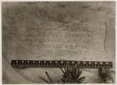 Historic Spanish record of the Conquest, south side of Inscription Rock, New Mexico. (Van Deren Coke Collection, San Francisco.)