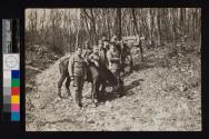 [Group of soldiers with long distance camera?]
