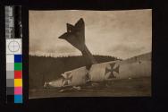 [Crashed plane]