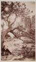 Study of Picturesque Pine and Castellated Rocks