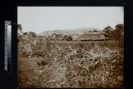 [Village with thatched roofs]