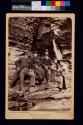 Central Cascade, Watkins Glen, N.Y.