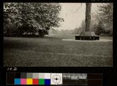Octagonal Bench Around Shagbark Hickory Tree