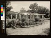 Pergola in terrace garden without vines