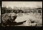 View of rock garden and grape arbor