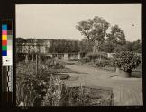 Terrace garden