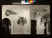 Animal trophies displayed on 3rd floor George Eastman's home near attic door