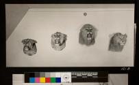 Four lion head trophies hung on 3rd floor of George Eastman's home 