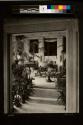 Conservatory in George Eastman's Home showing Pipe Organ and Tropical Plants