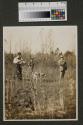 Hunting party in field, Oak Lodge trip