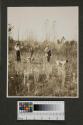 Hunting party in field, Oak Lodge trip