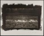 Pond, Schnebly Hill, Arizona