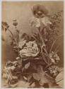 Roses, Pavots et Oeillets