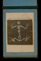 [Amphibian skeleton]