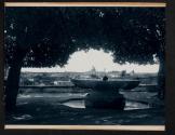 [View of city through trees]
