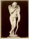 [Cupid]